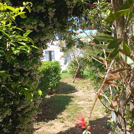 Li Curti B&B Melissano エクステリア 写真