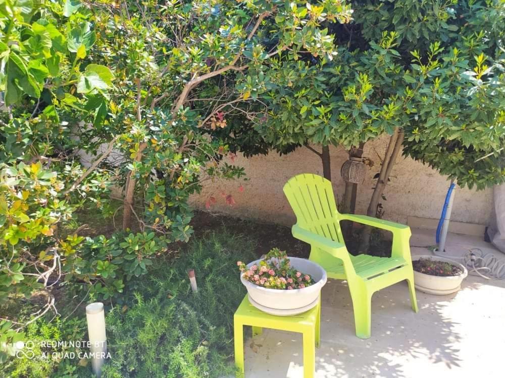 Li Curti B&B Melissano エクステリア 写真