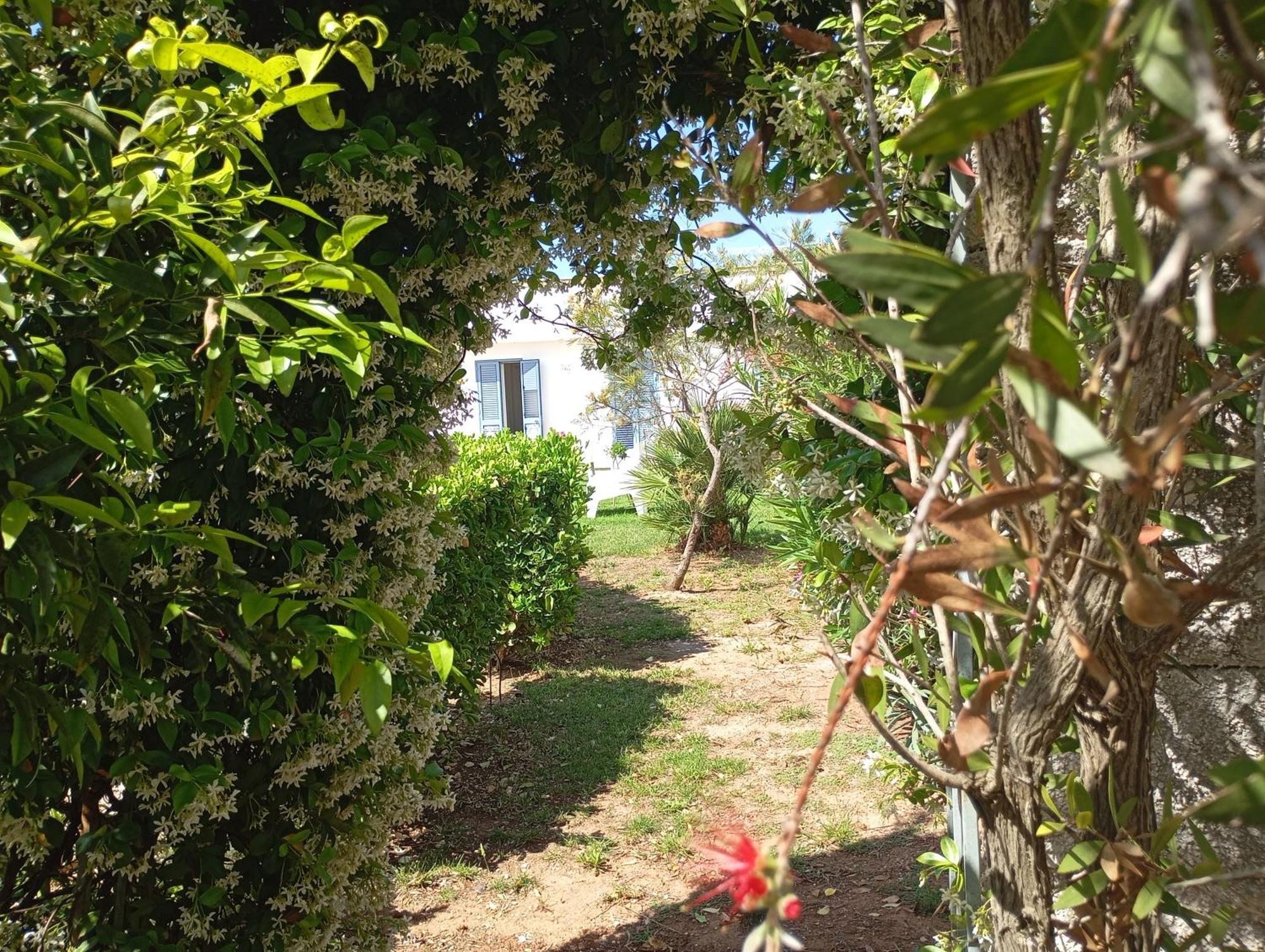 Li Curti B&B Melissano エクステリア 写真