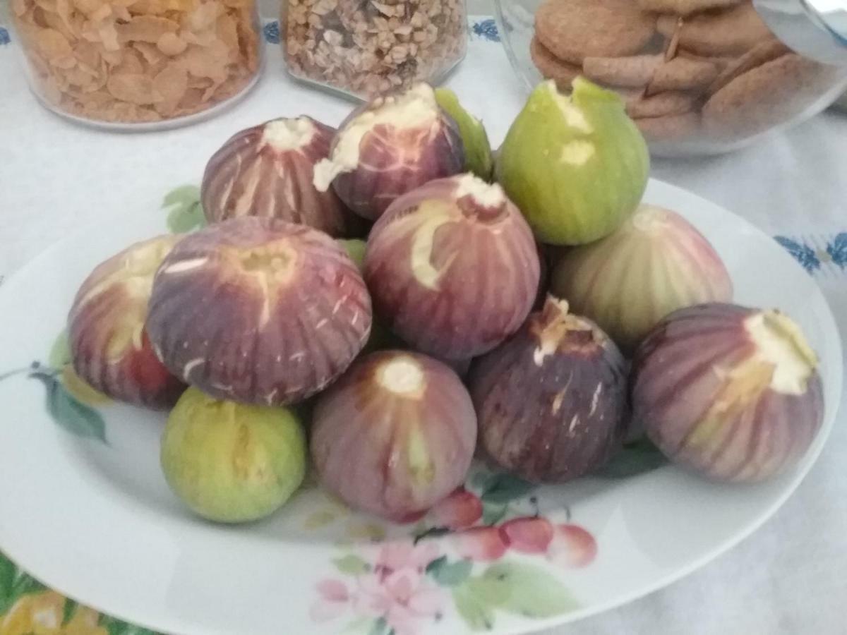Li Curti B&B Melissano エクステリア 写真