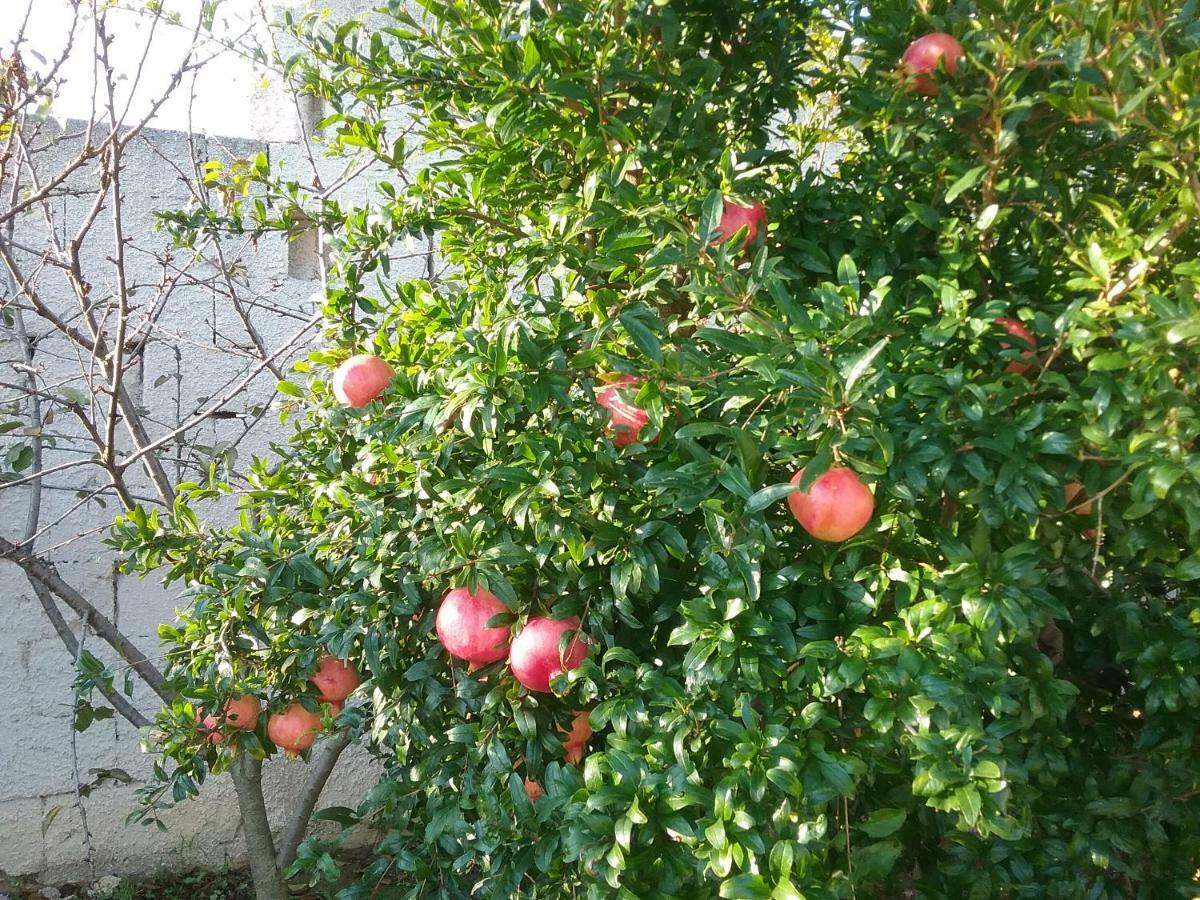Li Curti B&B Melissano エクステリア 写真