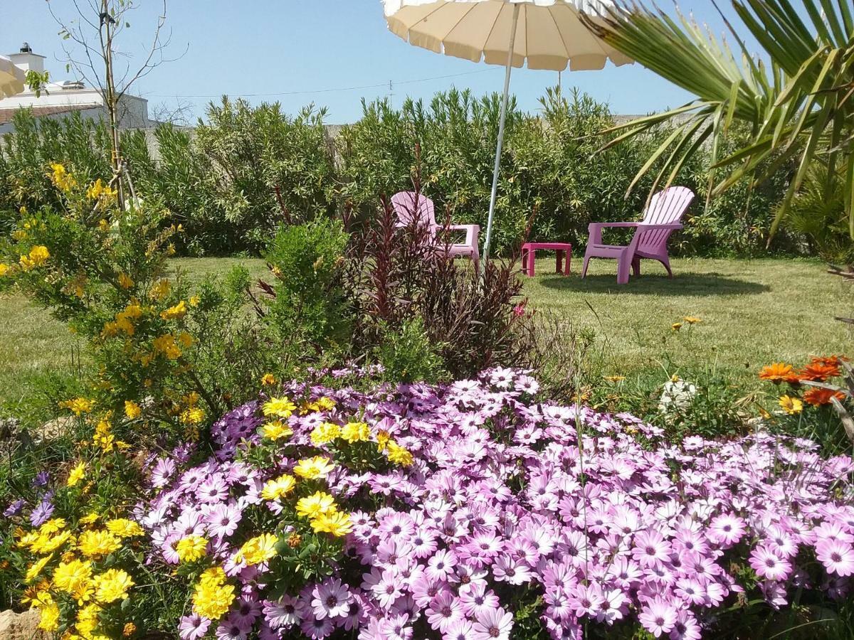 Li Curti B&B Melissano エクステリア 写真